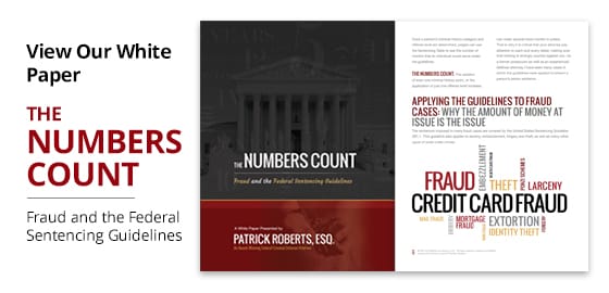 View Our White Paper - The Numbers Count - Fraud and the Federal Sentencing Guidelines